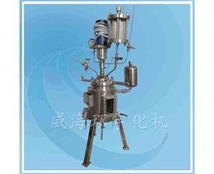 天津Visible Glass Reactor