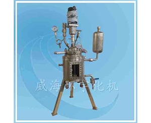 天津Visible Glass Reactor