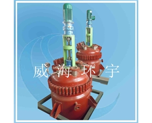 天津500L Mechanical Seal Reactor 