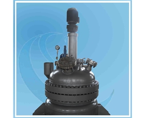 天津500L High-pressure Reactor 