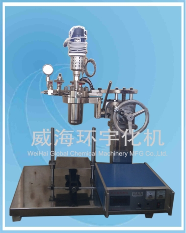 天津0.5L Laboratory Reactor