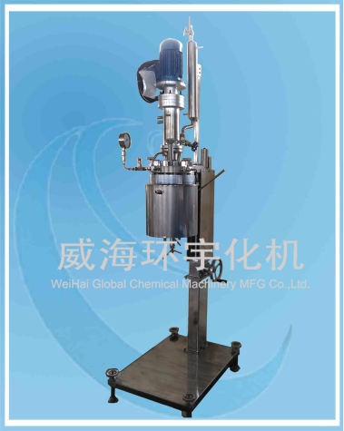 天津5L Hydrogenation  Reactor