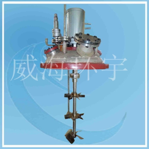 天津0.5L Four-broad-blade paddle+disk turbine mixer