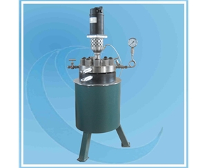 天津3L Hydrogenation Reactor