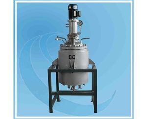 天津Hydrogenation Reactor