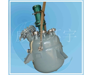 天津Hydrogenation Reactor