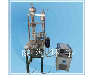 天津Reactor with Recirculating tank