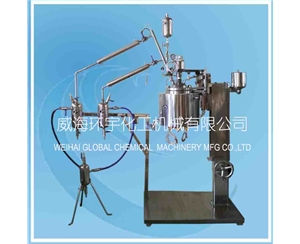 天津10L Esterification Reactor with Lifting Device