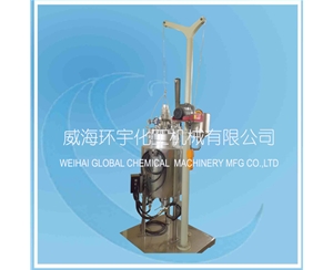 天津40L Lifting Reactor