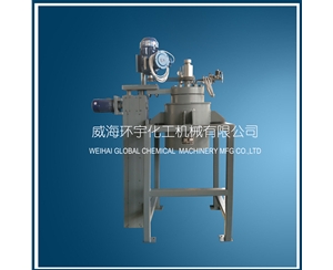 天津20L Electric Lifting Reactor