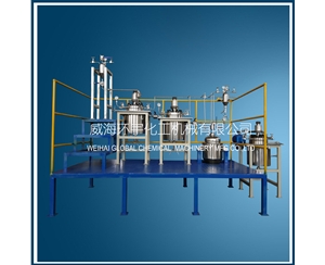 天津5L Hydrogenation Reactor System