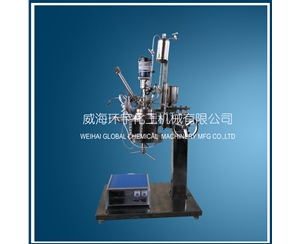 天津1L Glass Reactor with Constant Pressure Feeding Port