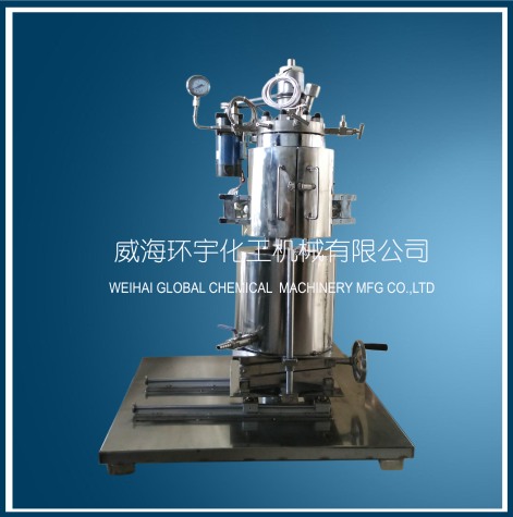 天津2L Lifting Reactor