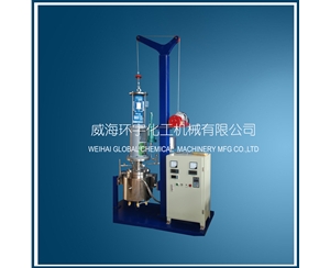 天津5L Stainless Steel Lifting Reactor