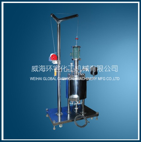 天津30L Lifting Reactor