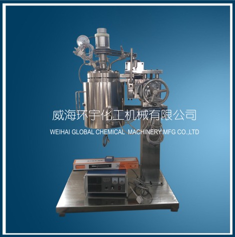 天津5L Lifting Reactor with Quick Open Device