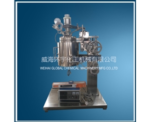 天津5L Lifting Reactor with Quick Open Device