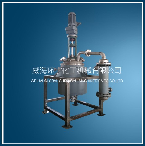 天津200L Reactor with Mechanical Seal