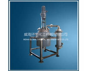 天津200L Reactor with Mechanical Seal