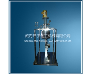 天津5L Electric Lifting Reactor