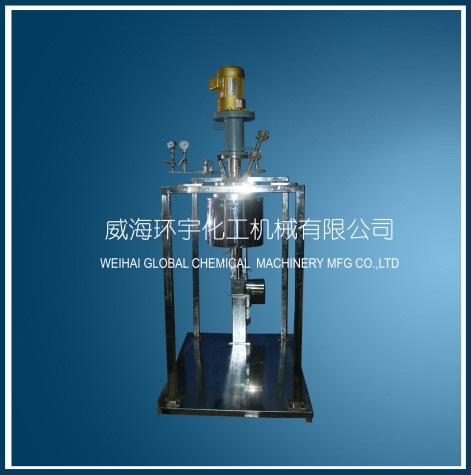 天津5L Electric Lifting Reactor