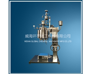 天津5L Lifting Reactor with Feeding Tank