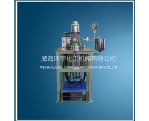 天津5L Hydrogenation Reactor with Explosion proof Motor