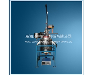 天津20L Lifting  Reactor with PFA lining