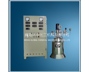 天津Lab High Pressure Reactor with PID Controller