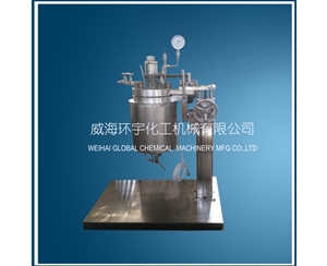 天津50L High Pressure Lifting Reactor