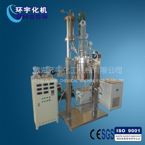 天津Reactor System with Mechanical Seal