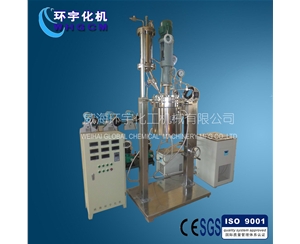 天津Reactor System with Mechanical Seal