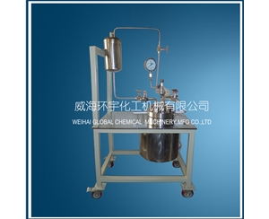 天津Stainless Steel High Pressure Reactor with Feeding Tank