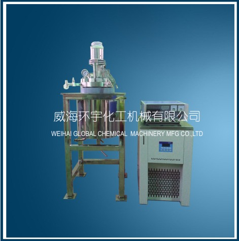 天津5L high pressure low temperature reactor