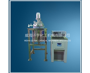 天津5L high pressure low temperature reactor