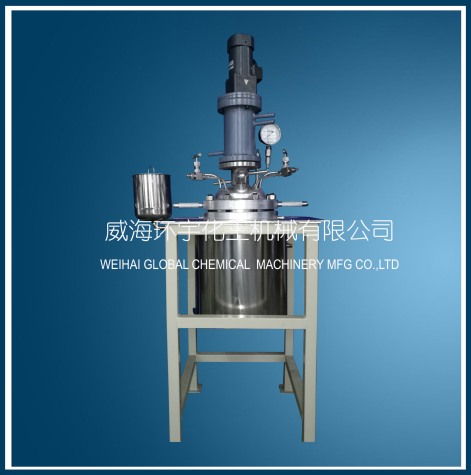 天津GSH-10L Stainless Steel Reaction Tank