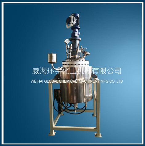 天津GSH-100L Hydrogenation Reactor