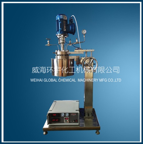 天津GSH-0.5L Hydrogenation Reactor with Ex-proof Motor and Lifting Device