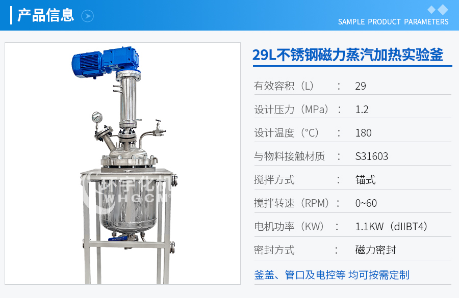 天津29L磁力不銹鋼反應釜